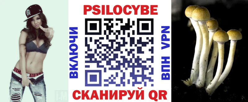 Псилоцибиновые грибы GOLDEN TEACHER  omg рабочий сайт  Горно-Алтайск 